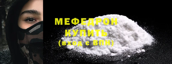 сатива Новодвинск