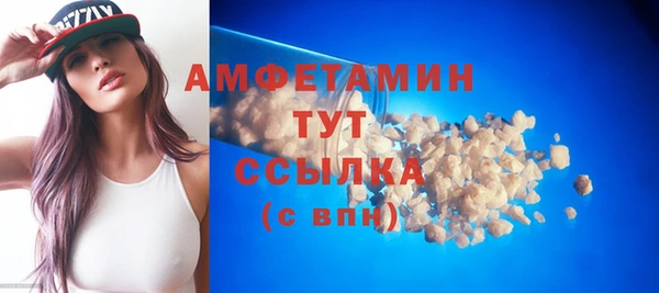 амф Новозыбков