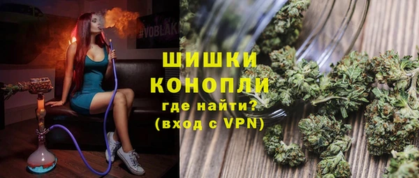 сатива Новодвинск