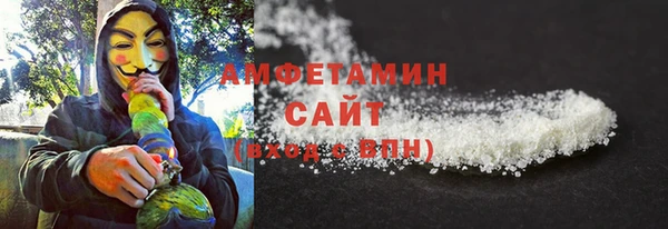 сатива Новодвинск