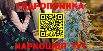 эйфоретик Дубна