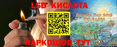 дживик Бийск